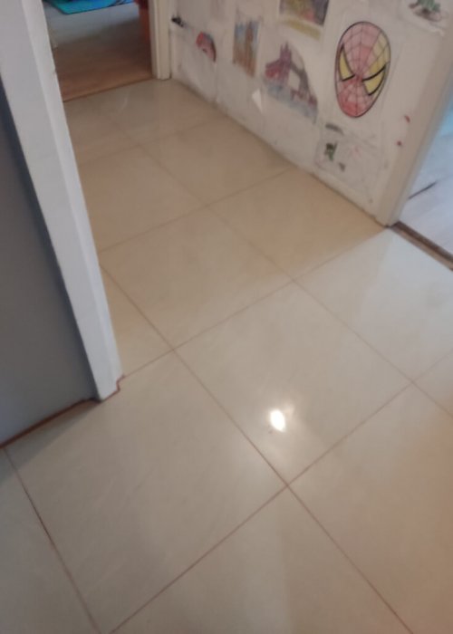 inbound2906431506422974384