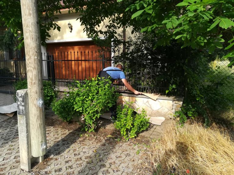 34882918_250043309080033_4606950636594921472_n