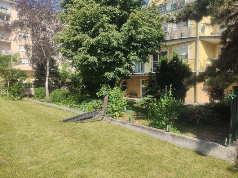 IMG_20220520_093416 (1)